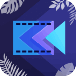 ActionDirector Premium